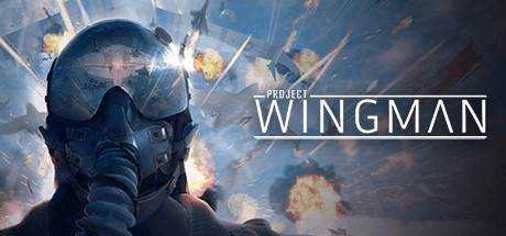 僚机计划 Project Wingman v0.40.20.1210.3303 官方中文【6.4G】